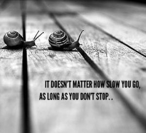 It does not matter how slowly you go, so long as you don't stop Confucius quote snails
